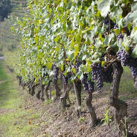 Cascina Ballarin *
