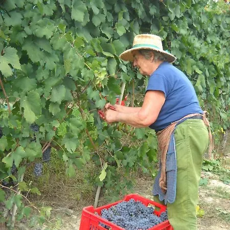 Cascina Ballarin Lantgård *