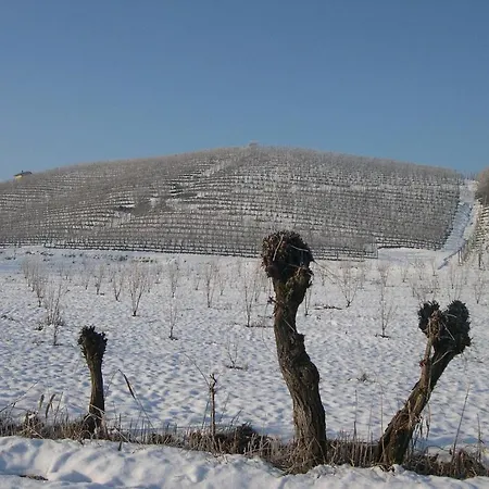 Cascina Ballarin Lantgård La Morra