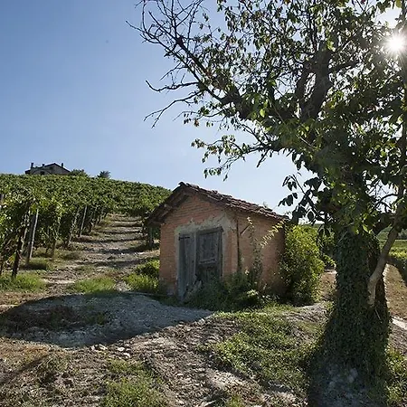 Cascina Ballarin * La Morra