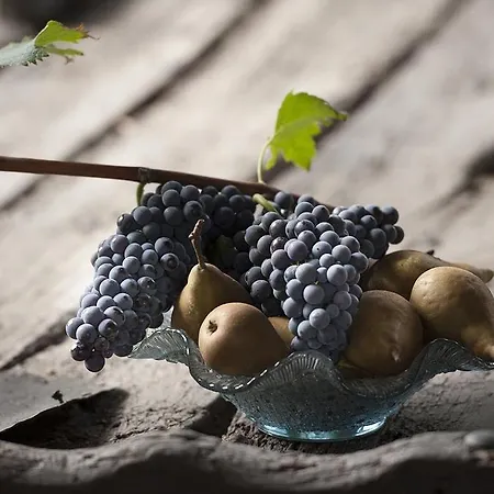 Cascina Ballarin Lantgård *