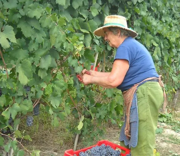 Cascina Ballarin Lantgård *