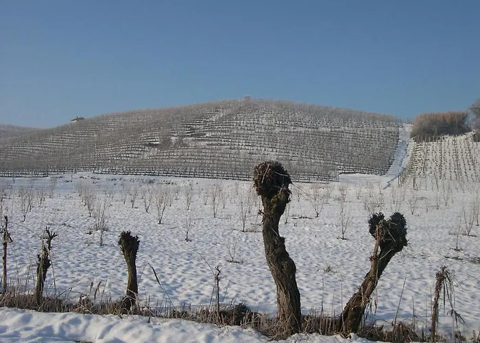 Cascina Ballarin Lantgård La Morra