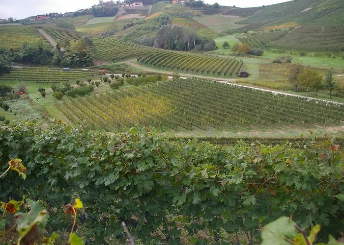 Cascina Ballarin * La Morra