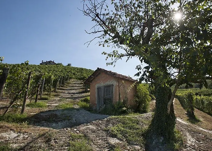 Cascina Ballarin * La Morra